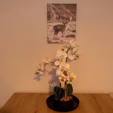 Luxury Near Vienna & Scs Apartman Vösendorf